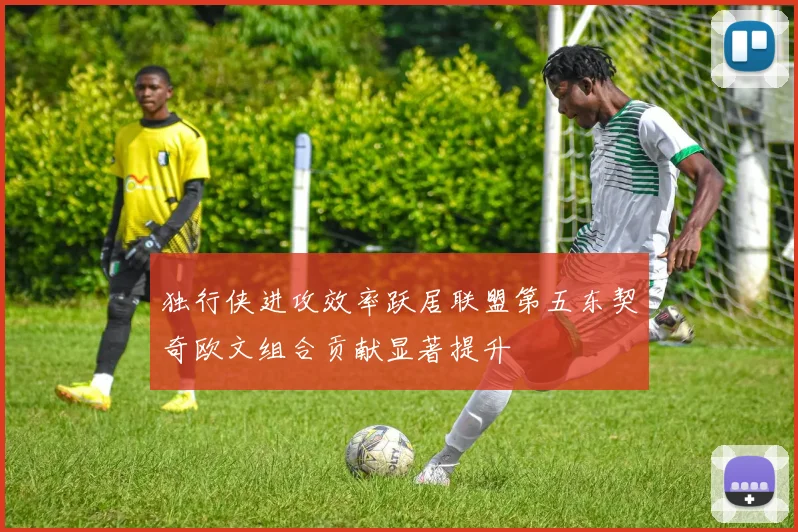 独行侠进攻效率跃居联盟第五东契奇欧文组合贡献显著提升