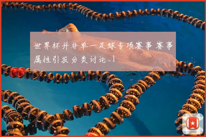 世界杯并非单一足球专项赛事 赛事属性引发分类讨论_1