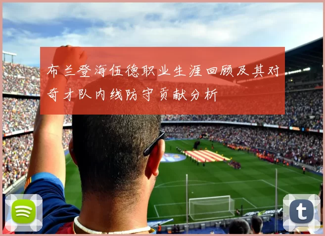 布兰登海伍德职业生涯回顾及其对奇才队内线防守贡献分析