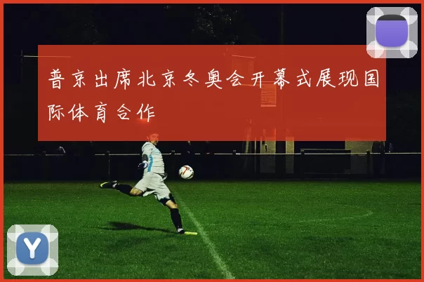 普京出席北京冬奥会开幕式展现国际体育合作