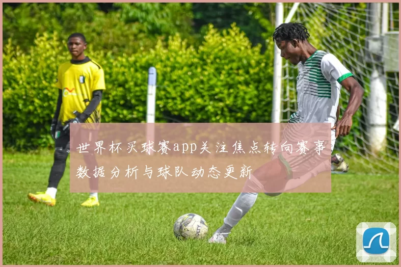世界杯买球赛app关注焦点转向赛事数据分析与球队动态更新